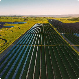 Renewable Energy