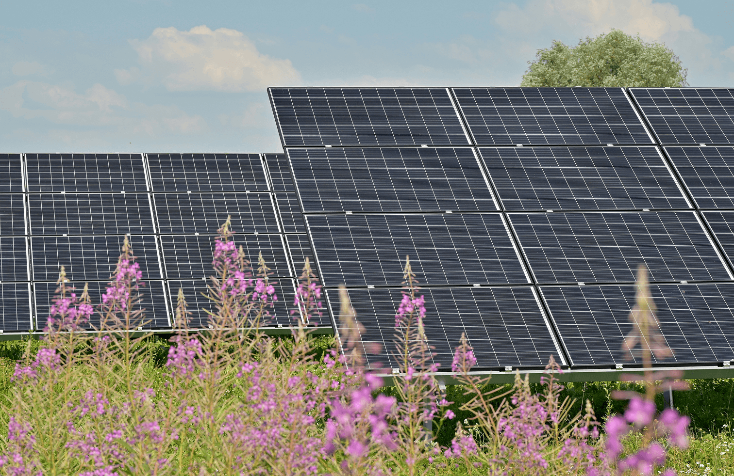 Utility-Scale Solar Farm: REAP + EB-5 Capital Stack