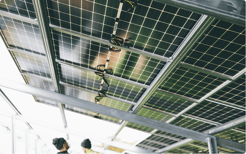 Utility-Scale Solar Farm — project image 1