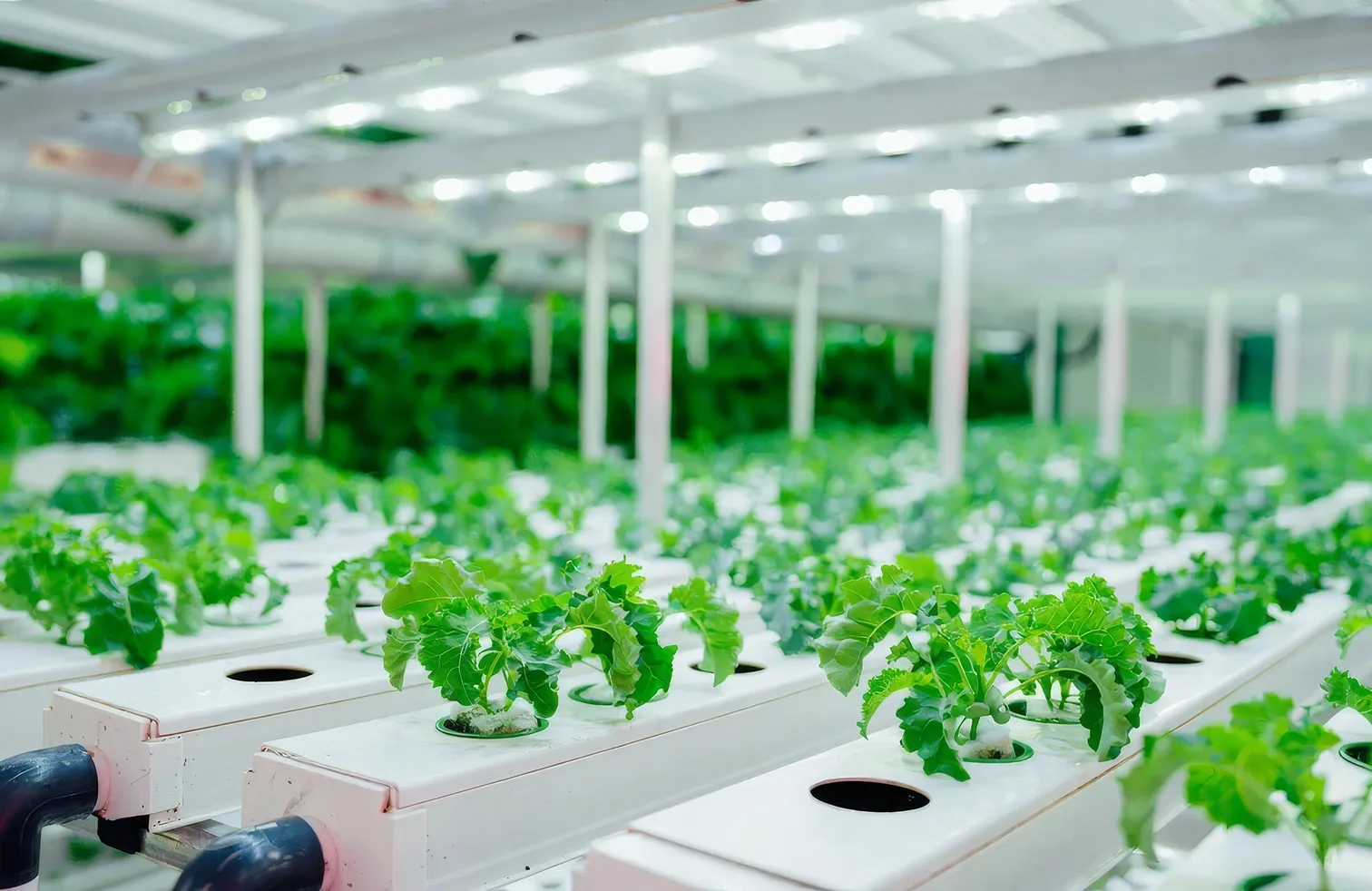 Vertical Harvest Farms: USDA Construction-to-Perm