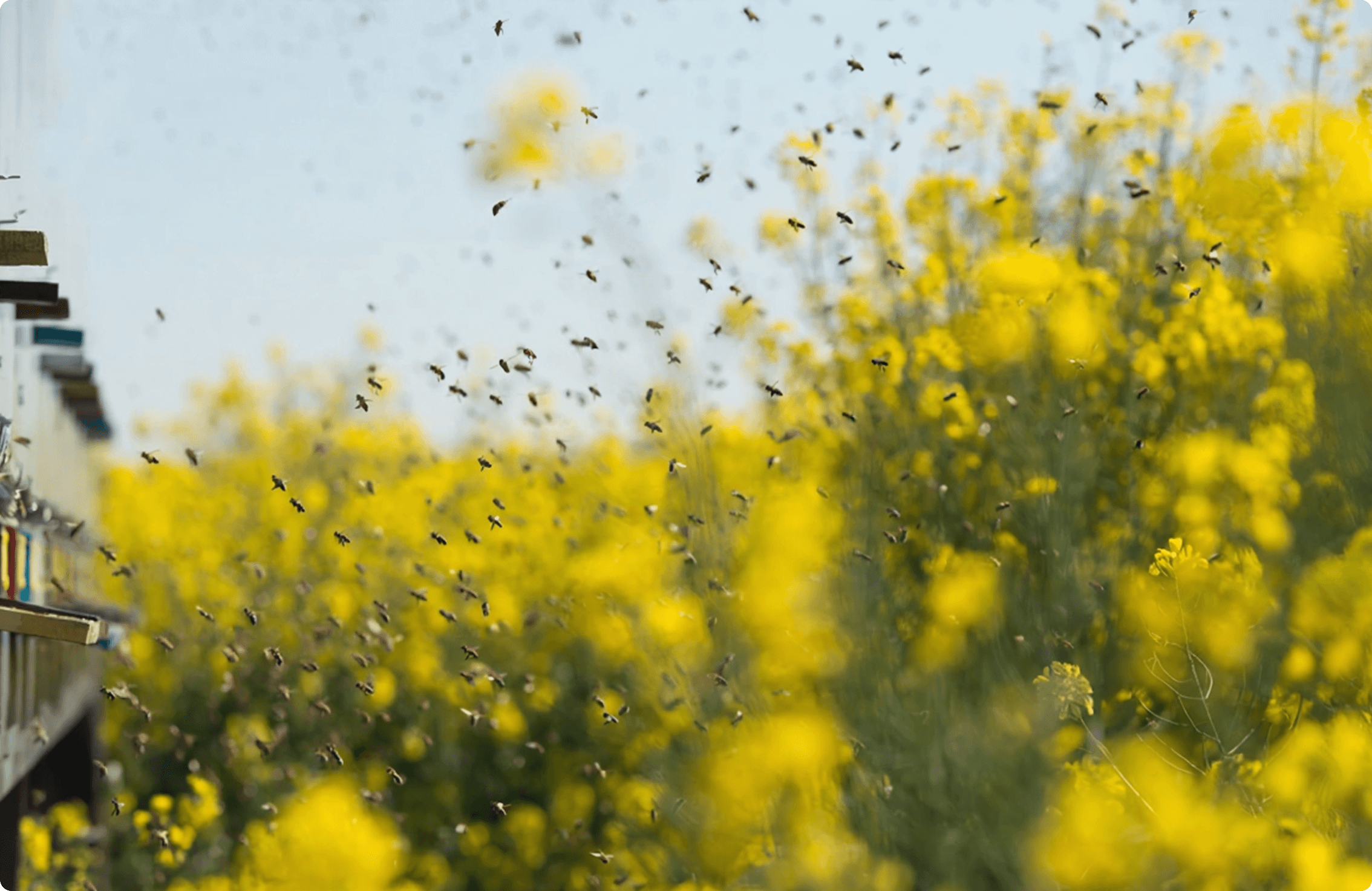 Waterside Commercial Finance